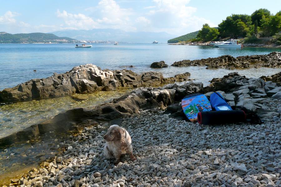 Urlaub mit Hund in Dalmatien auf der Insel Ciovo