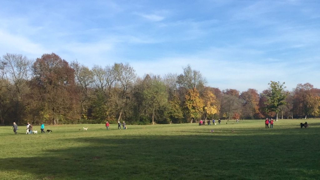 Mit Hund im Englischen Garten in München