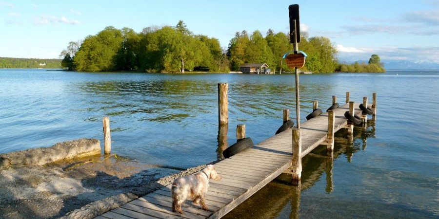 Roseninsel im Starnberger See